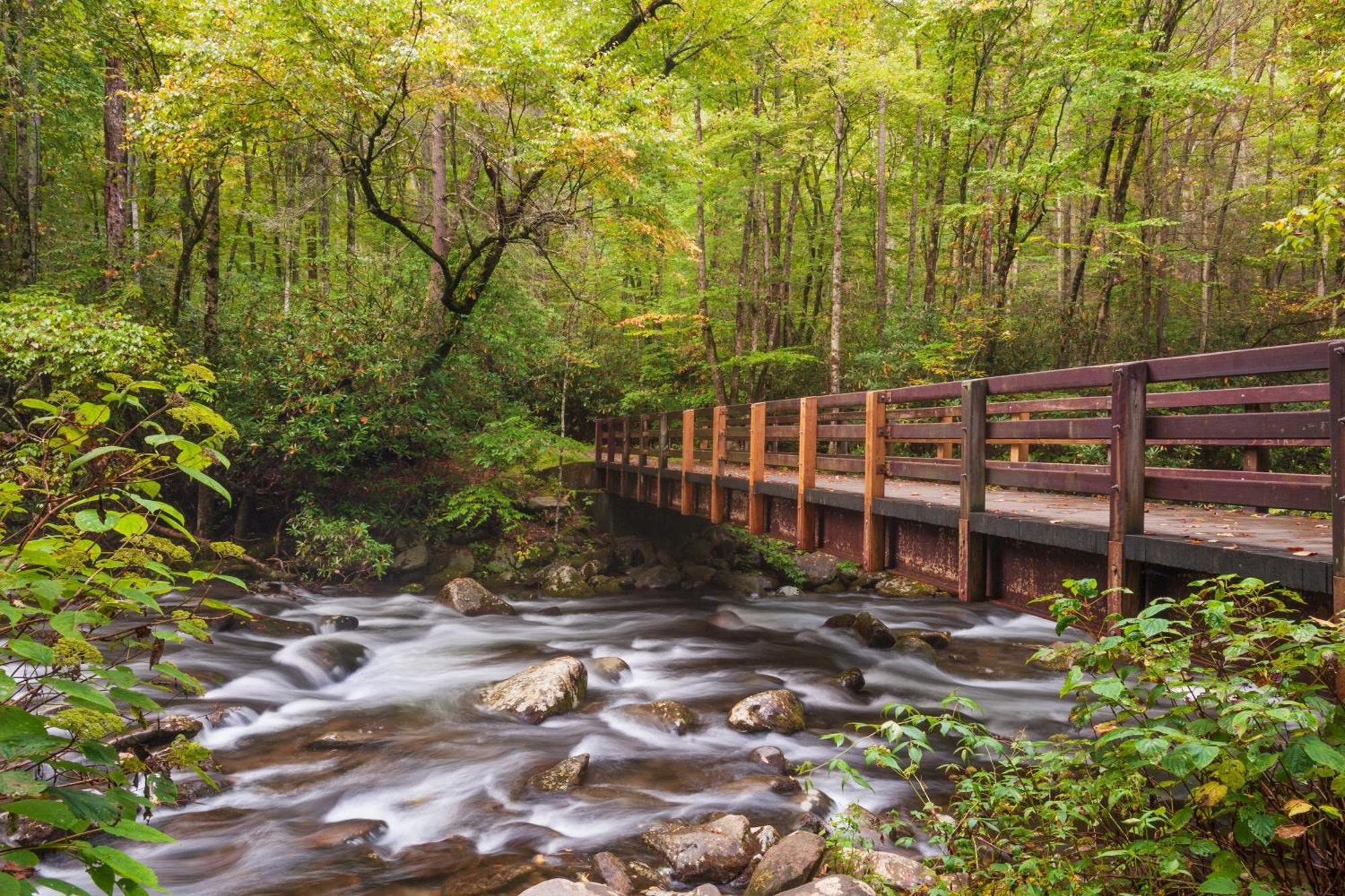 The Mason Jar, Hot Tub, Wifi, 1089 Free Tickets Each Paid Day, Dollywood And More! 鸽子谷 外观 照片